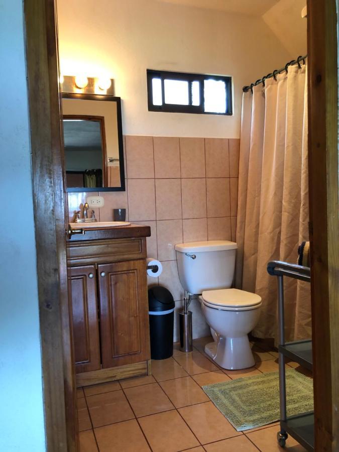 Cockatoo Studio Apartments Мануел Антонио Екстериор снимка
